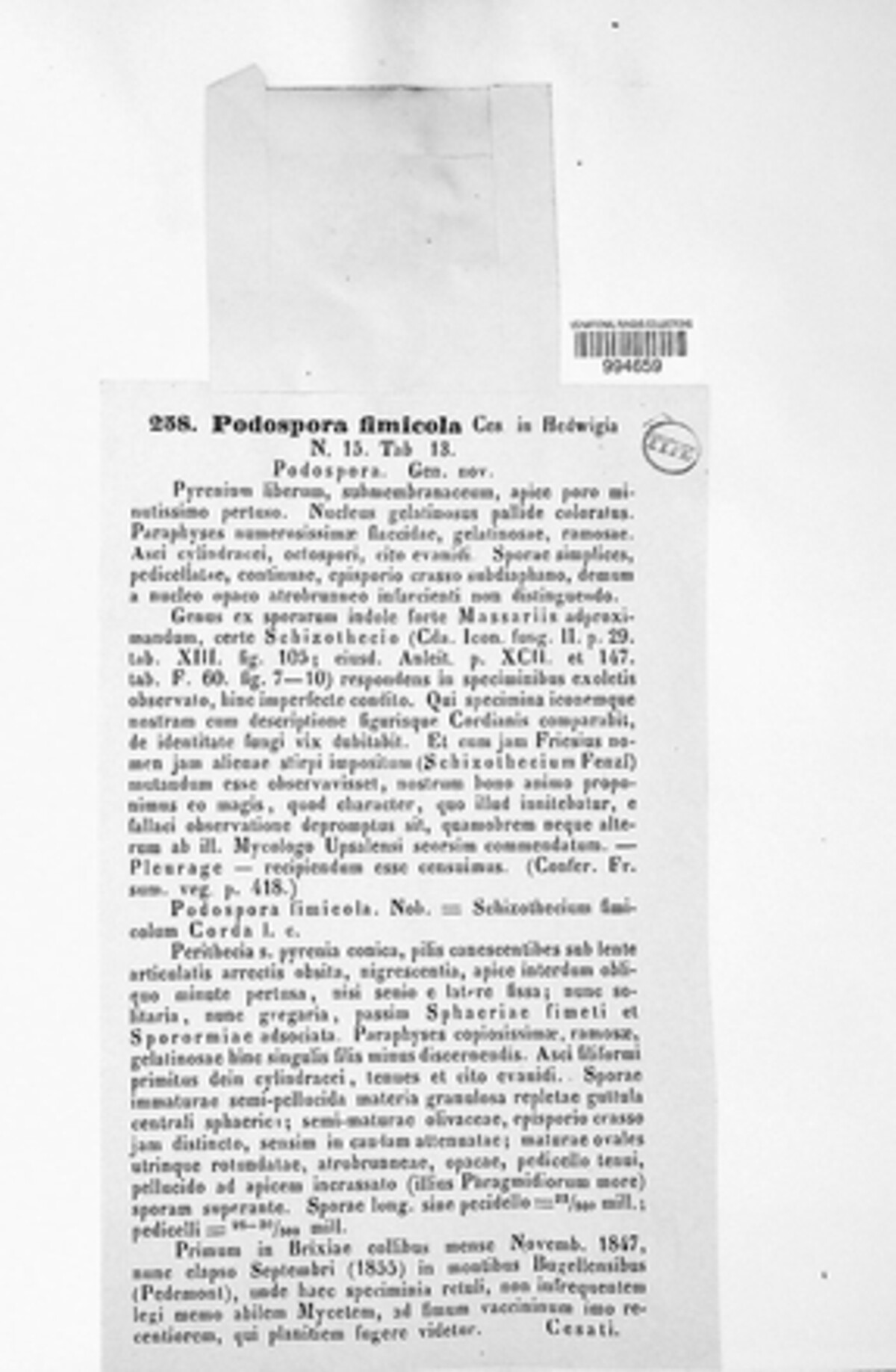 Schizothecium fimicola image